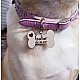 Kişiye Özel - Ahşap Kemik Modelli Köpek Tasma Kimlik Madolyonu, Saat, Tasarım Saat, Farklı Saat